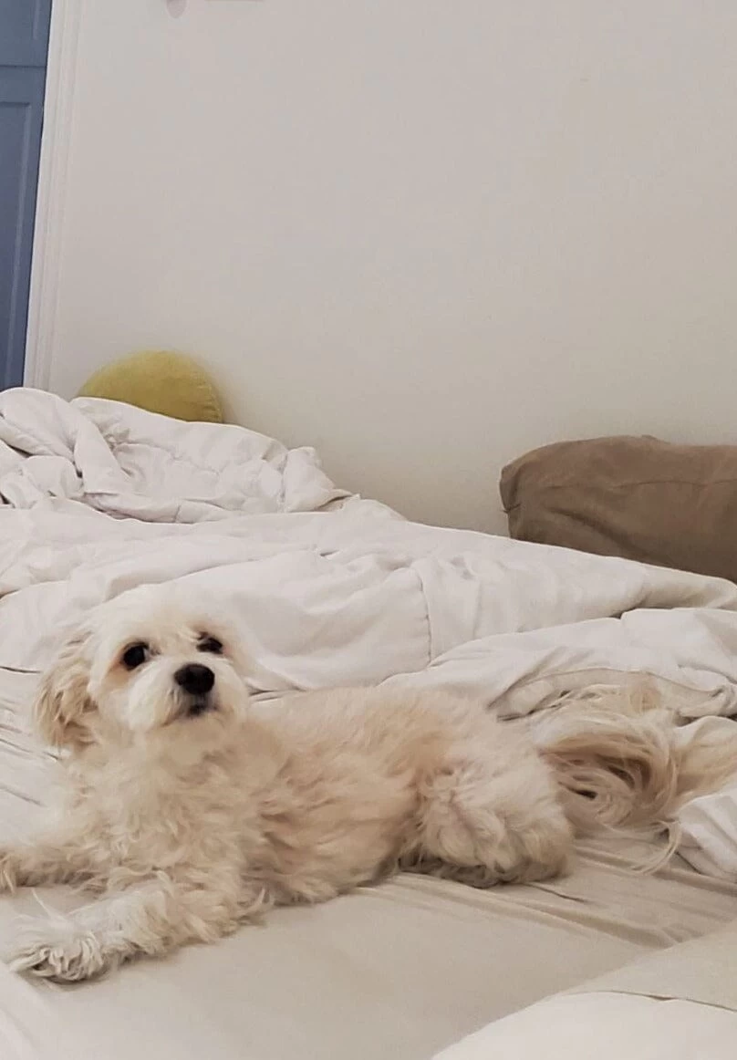 CUSTOM ALEC BAG | TAN 3 CUSTOM ALEC BAG | TAN - Image 3