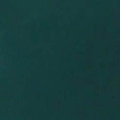 ALEC BAG | PINE POLISHED -Chic Style Shop STAUD ALEC BAG PINE FALL 23 ECOM 1 1 a2030b29 38b0 4363 bd06 e44cfd662f25