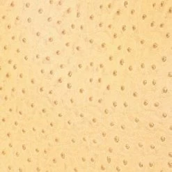 ALEC BAG | WALNUT OSTRICH EMBOSSED -Chic Style Shop STAUD ALEC BAG WALNUT FALL 23 ECOM 2 8b897917 6510 44e2 a975 610f70a71632