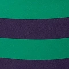 VIVI BIKINI BOTTOM | CABANA STRIPE MULTI 6 VIVI BIKINI BOTTOM | CABANA STRIPE MULTI - Image 6