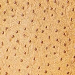 SHIRLEY LEATHER BAG | WALNUT OSTRICH EMBOSSED 13 SHIRLEY LEATHER BAG | WALNUT OSTRICH EMBOSSED -Chic Style Shop STAUD SHIRLEYLEATHER TOTE WALNUT FALL 23 ECOM 1 442f47f3 20ad 4869 b5ab e9da76c2f7a5