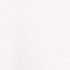 STAUD + WRANGLER THE W TEE | WHITE 7 STAUD + WRANGLER THE W TEE | WHITE - Image 7